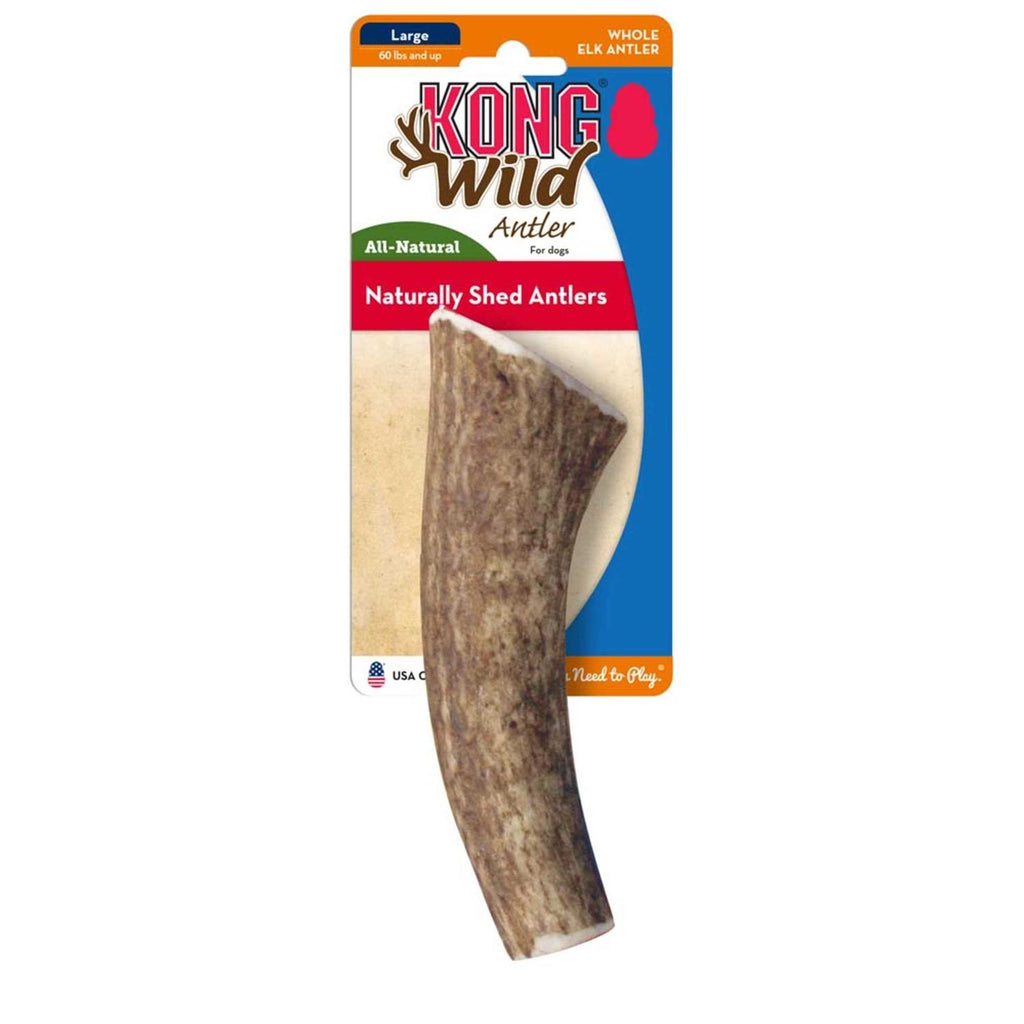Whole Wild Elk Antler Y3547