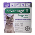 Flea Treatment Cats L918738