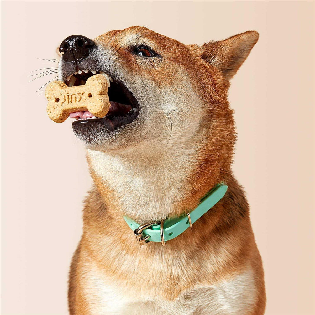 Chicken & Bone Broth Biscuits Crunchy Dog Treats G6020