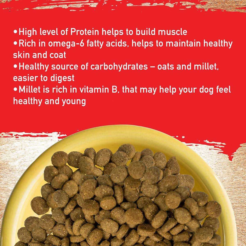 Pork Recipe Dog Food M10475