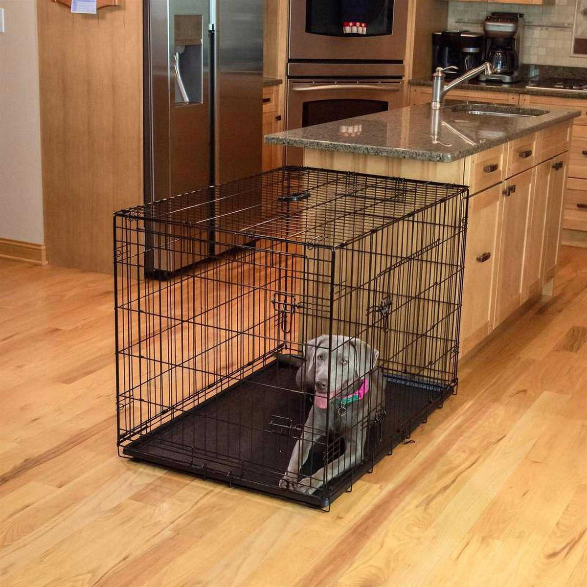 Single-Door Dog Crate A40542