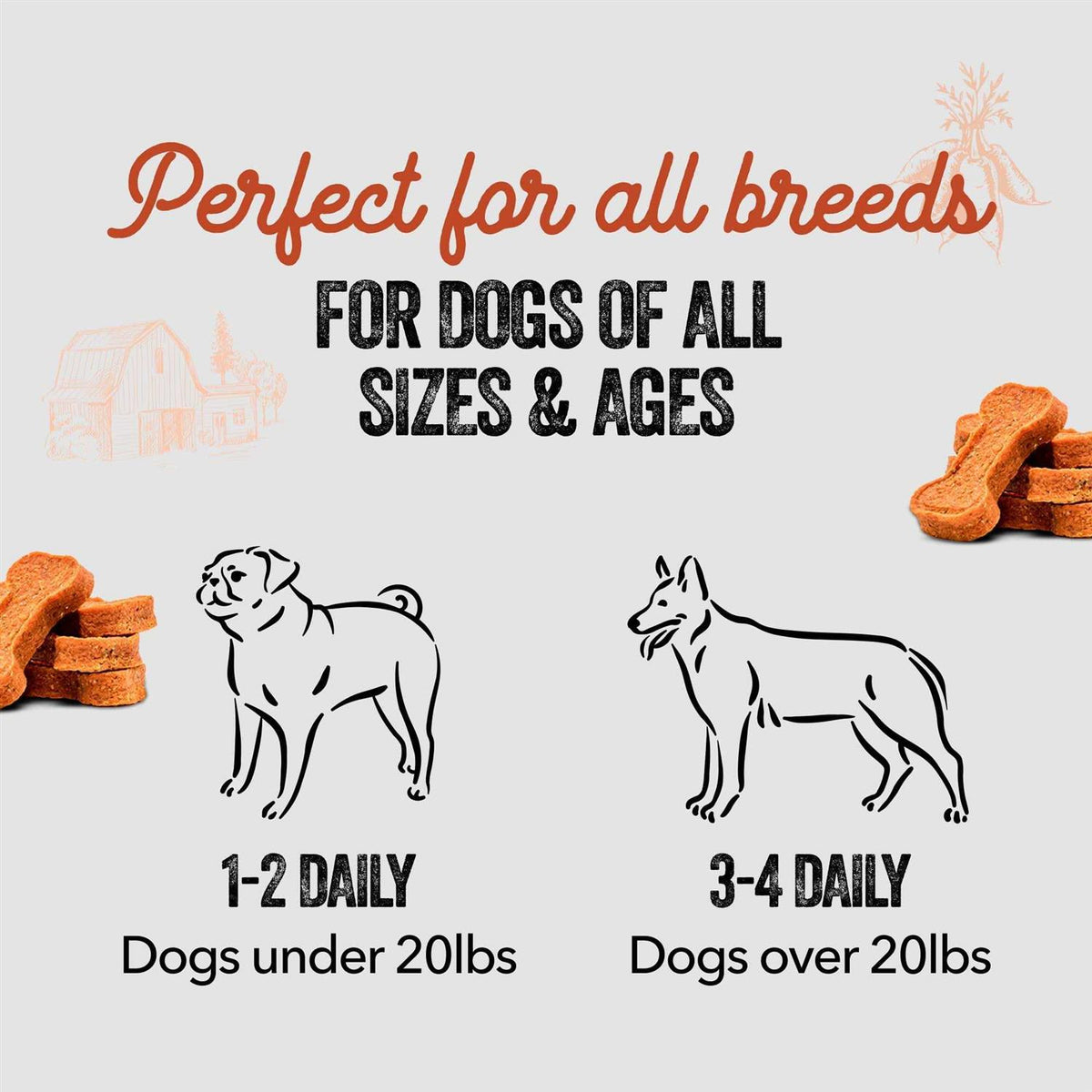 Sweet Potato Dog Bones U54873