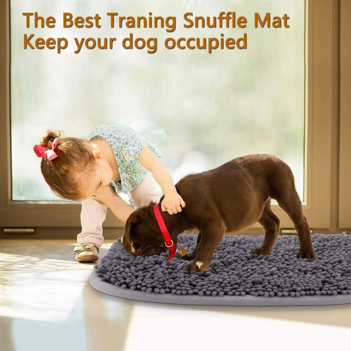 17” x 21” Snuffle Mat H287