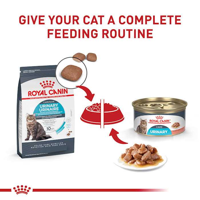 Thin Slices in Gravy Wet Cat Food J82457