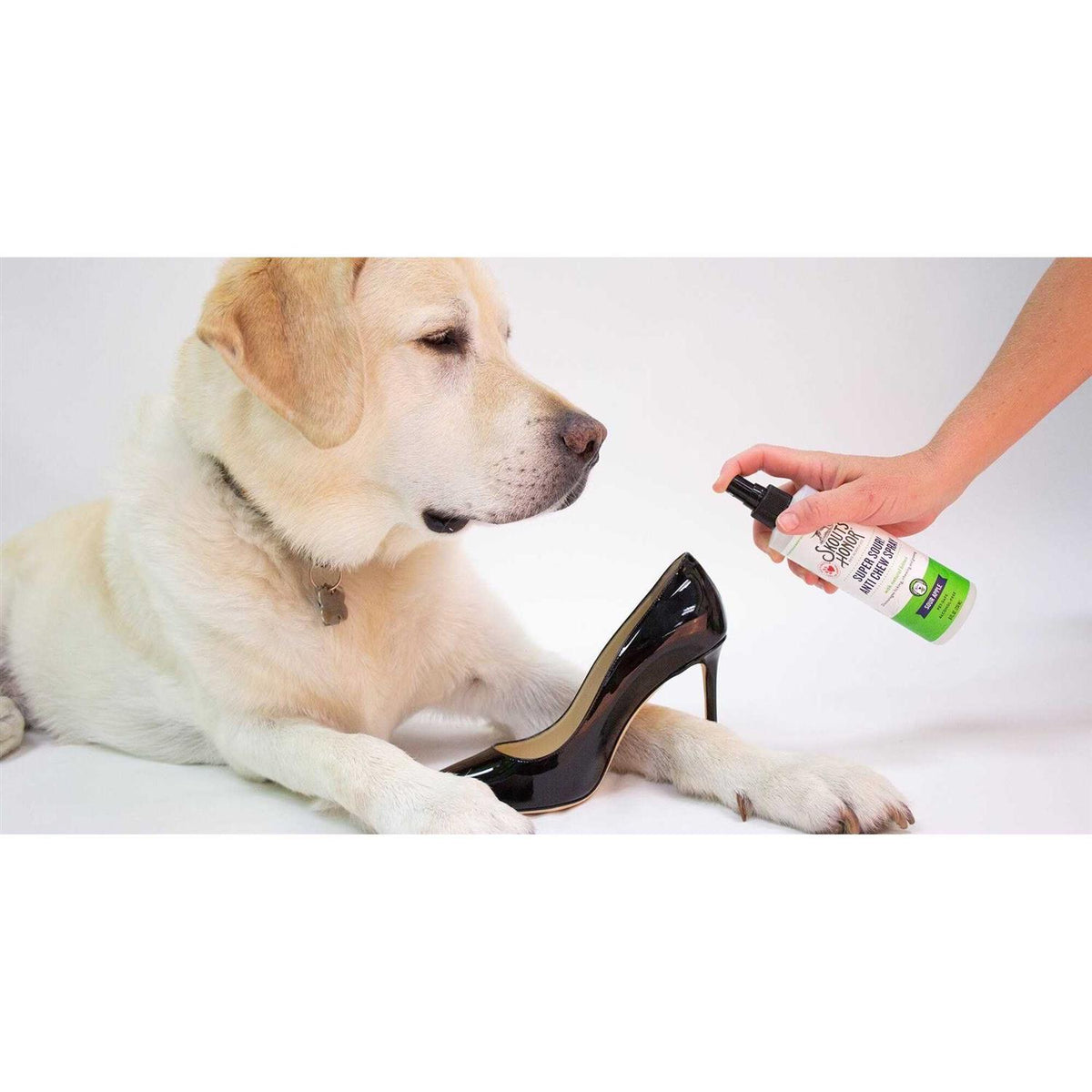 Anti-Chew Spray E453