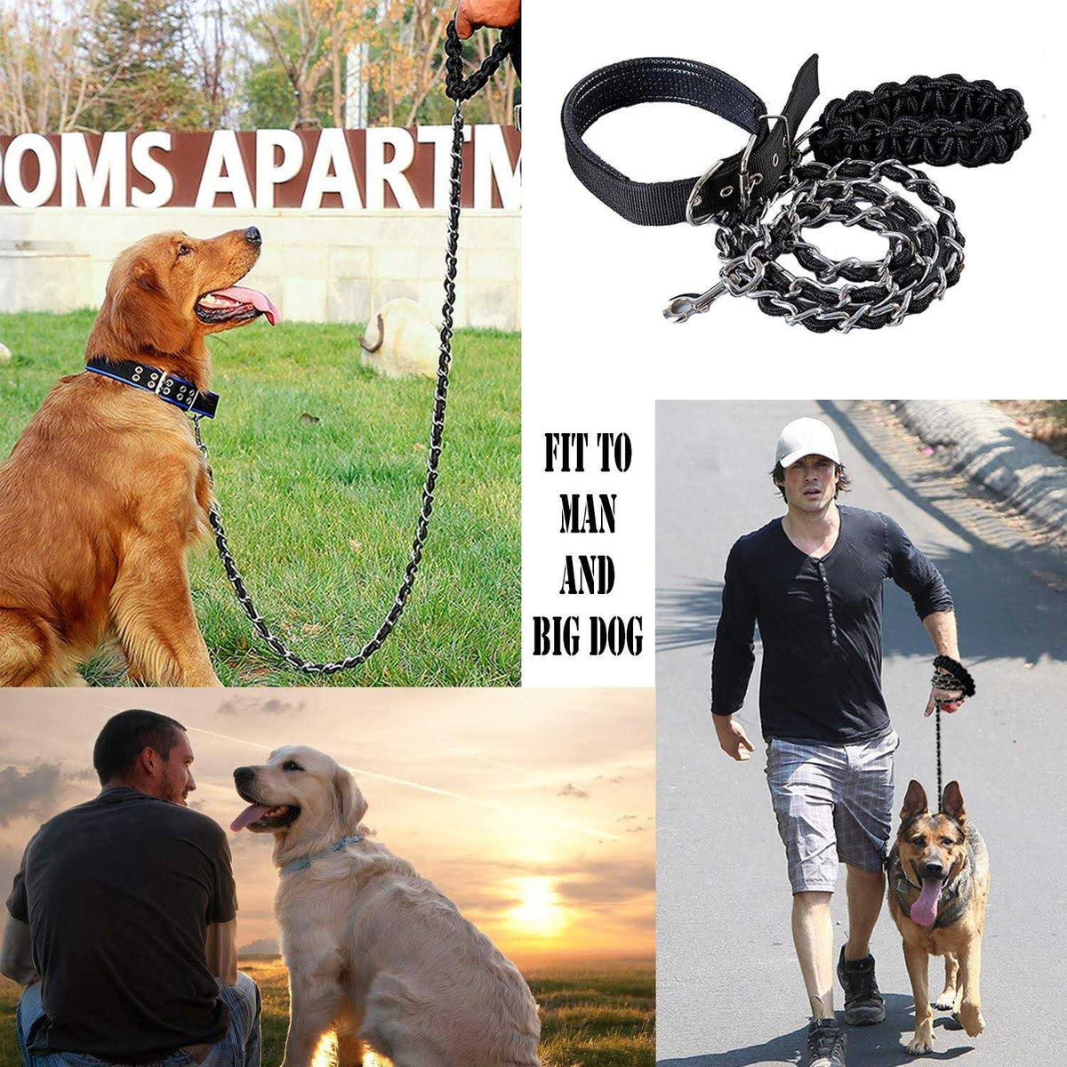 Metal Dog Leash with Collar M32319