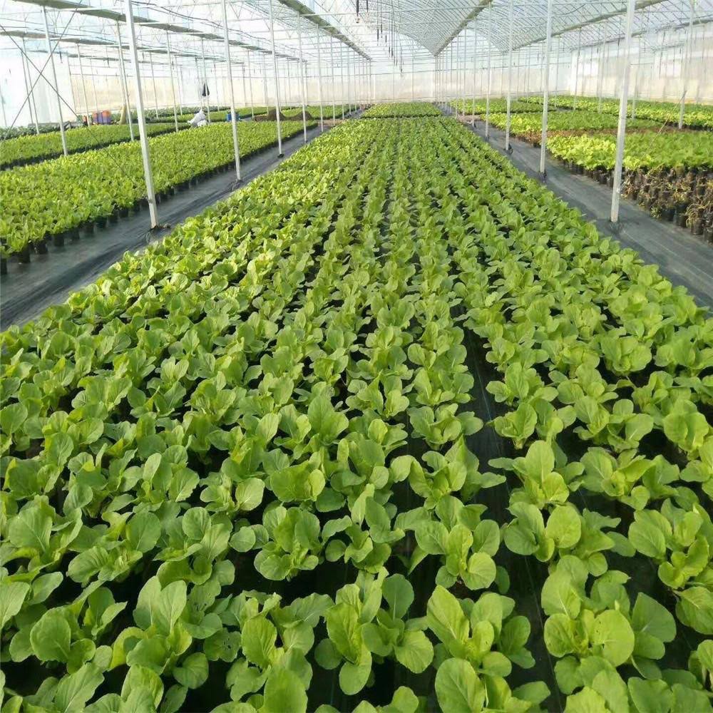 Woven Weed Barrier 3 x 100 foot Black 2 Pack A612456