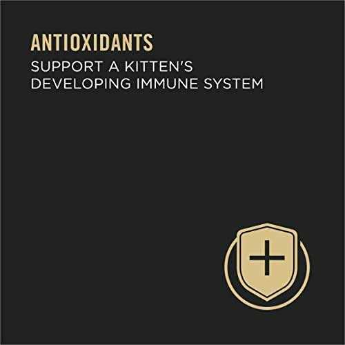 Grain Free Pate Wet Kitten Food P552