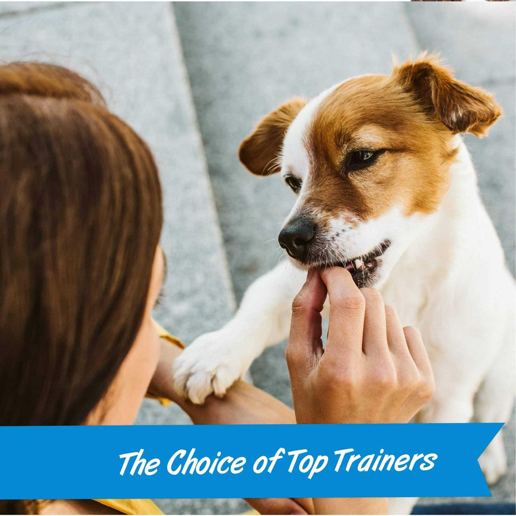 Mini Training Dog D717645