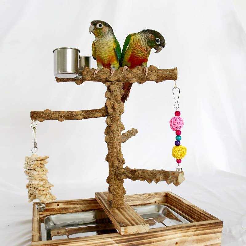 Wood Bird Perch Platform Stand T72082