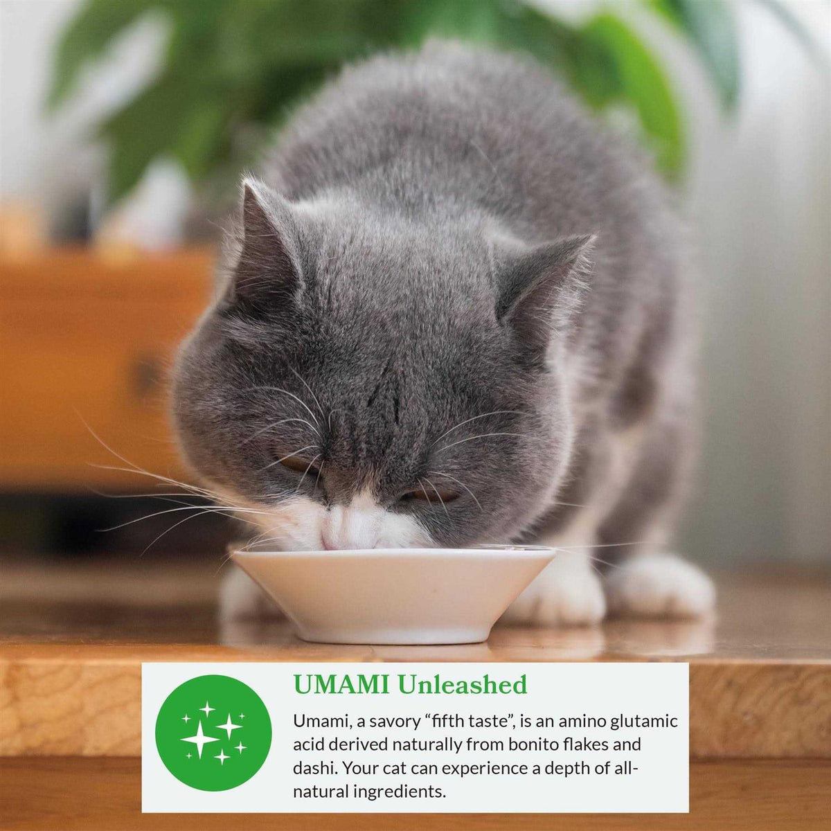 Bits in Broth Cat Food Topping Z4015