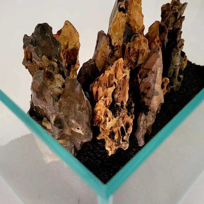 Crystal Aquarium D69490