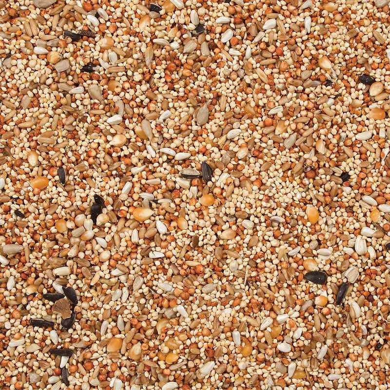 Dove Quail Food V952775