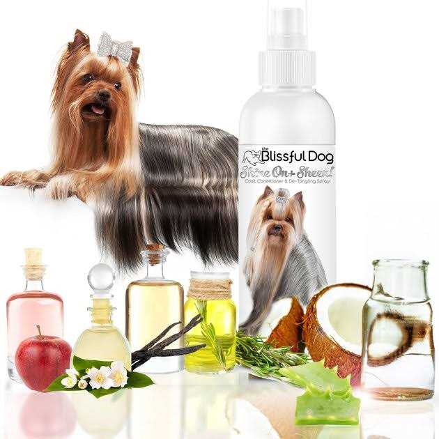 All Natural Leave-in Conditioner and Coat Detangler for Dogs K750371