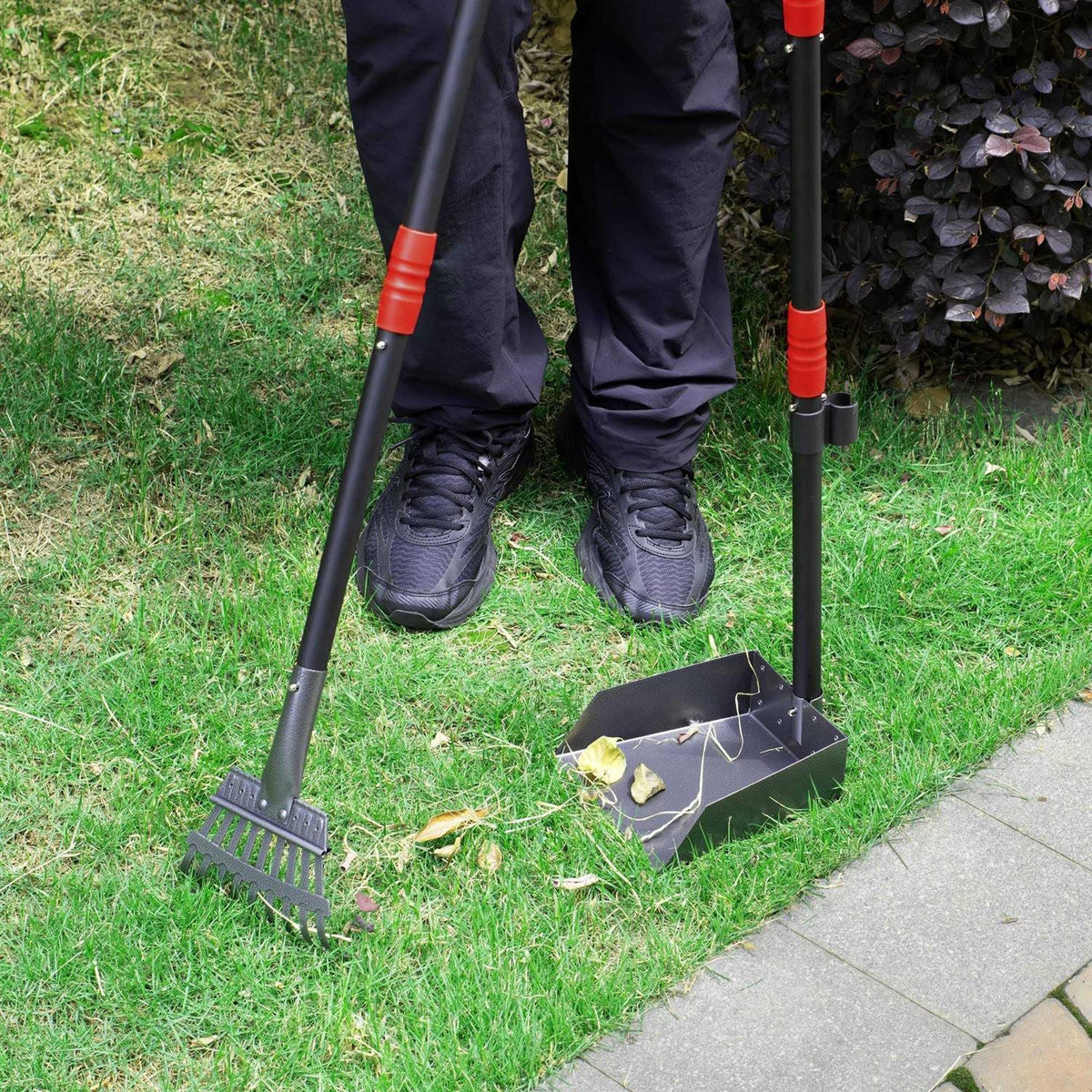 Dog Pooper Scooper and Rake Set F3665