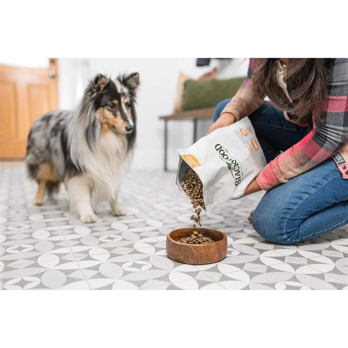 Pet Food B561