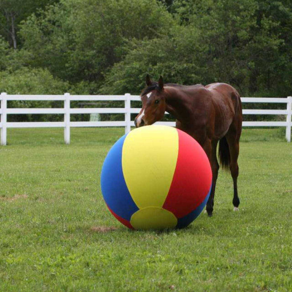 Jolly Mega Ball Cover J54051