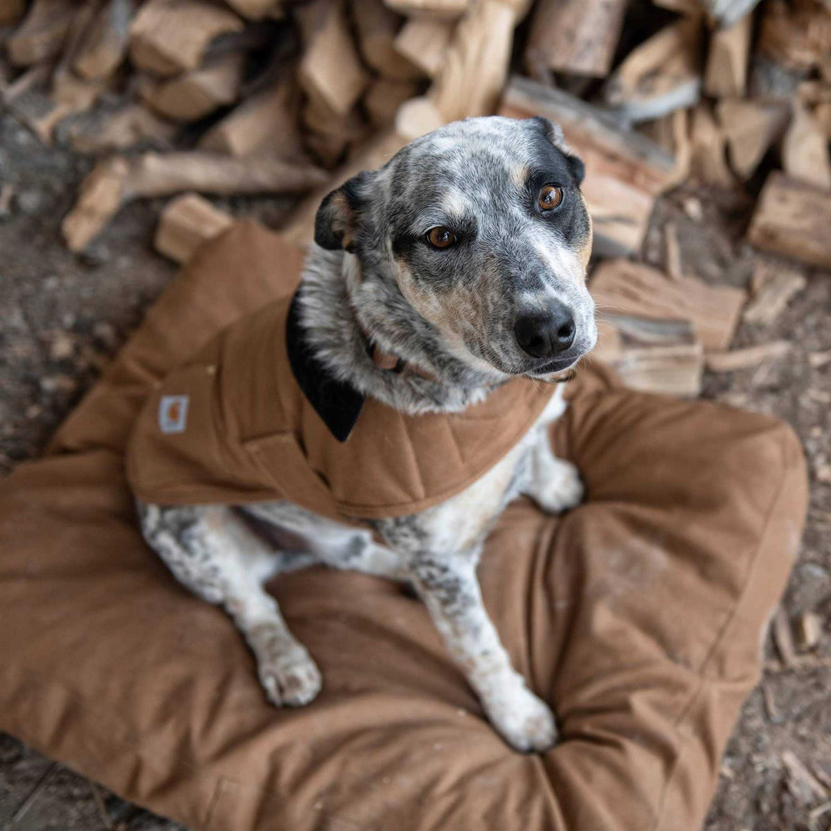 Dog Bed N963