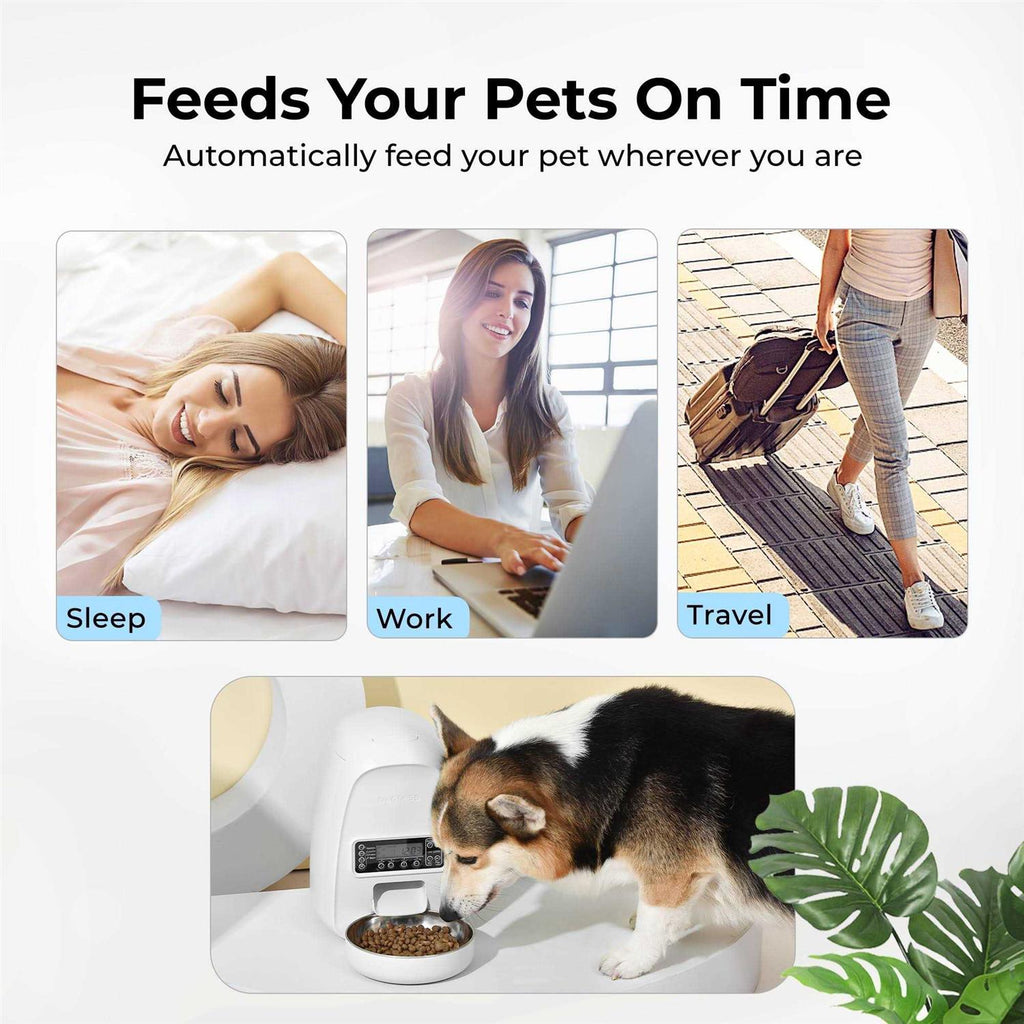 Automatic Dog & Cat Feeder L755