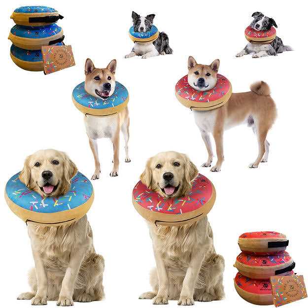 Dog Donut Collar P909331