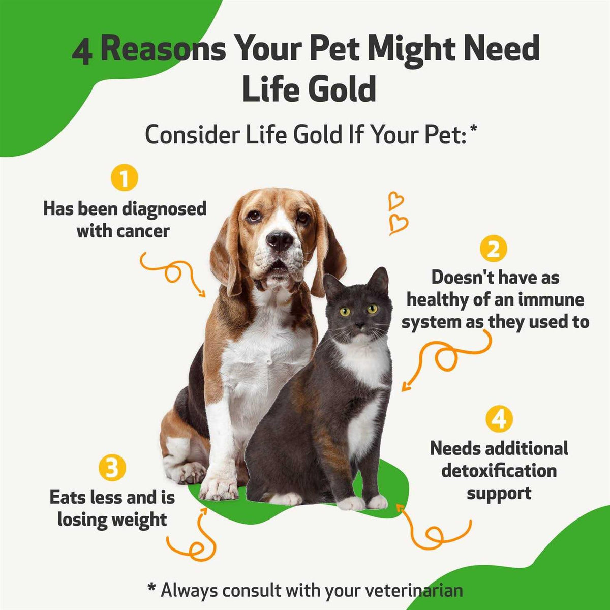 Life Gold for Dogs R4845