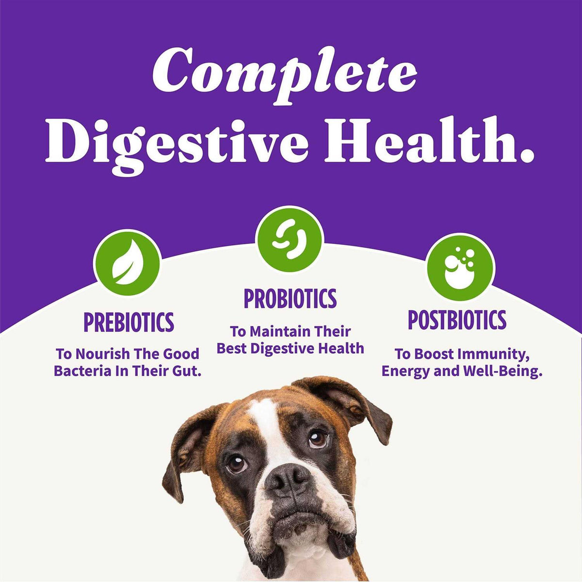 Adult Dry Dog Food D4817