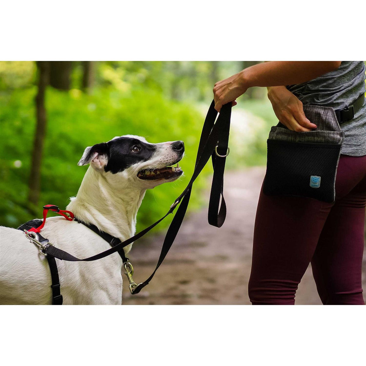 Buckle-Neck No-Pull Dog Harness G4352