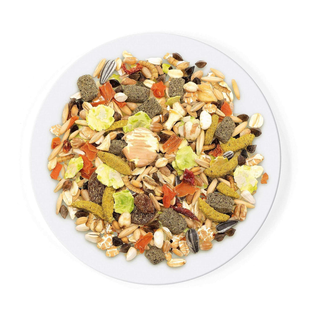 Pure Hamster Food Seed Mixture Y689