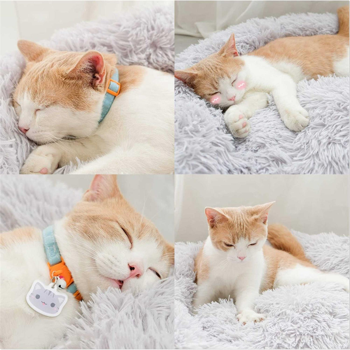 Washable Soft Plush Pet Bed H5597