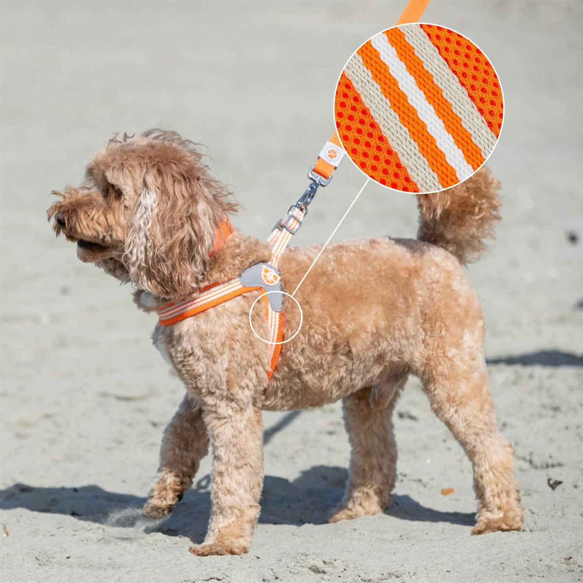Dog Harness V338