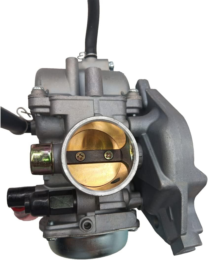 Carburetor with Petcock Fuel Tank Switch Valve P94813
