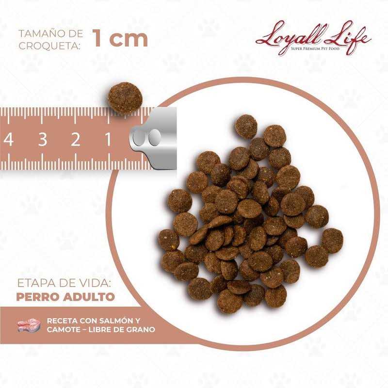 Grain Free Salmon Sweet Potato Dog Food 30 Pounds A4506