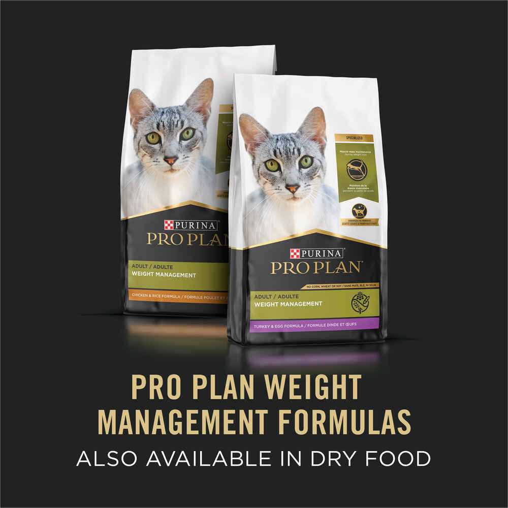 Weight Management Ground Turkey & Rice Canned Cat Food U373457