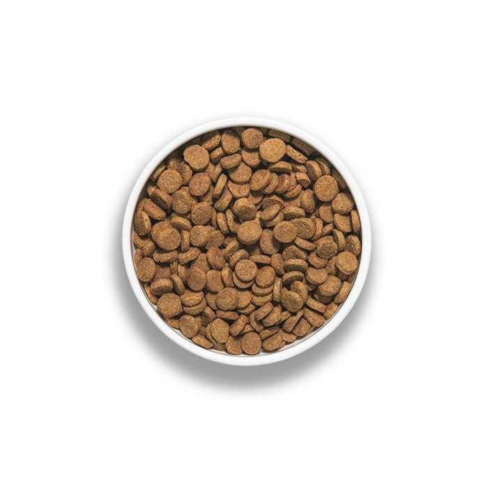 Pork Recipe Dog Food M10475