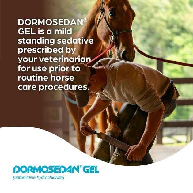 Horse Gel T654