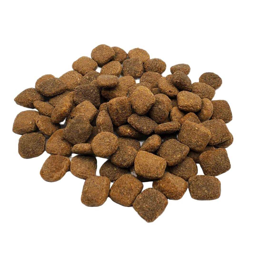 Chicken & Turkey Dry Dog Food O72575