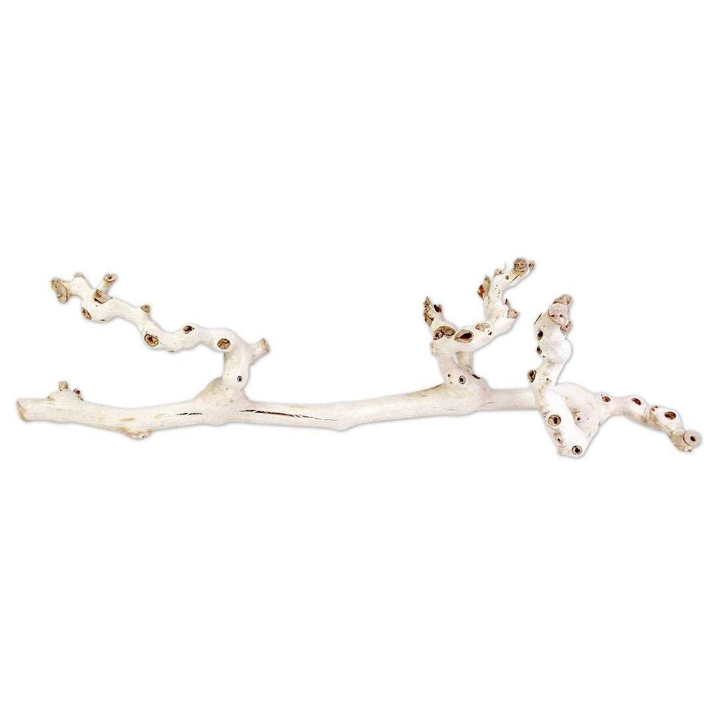 Grapewood Branch V541573