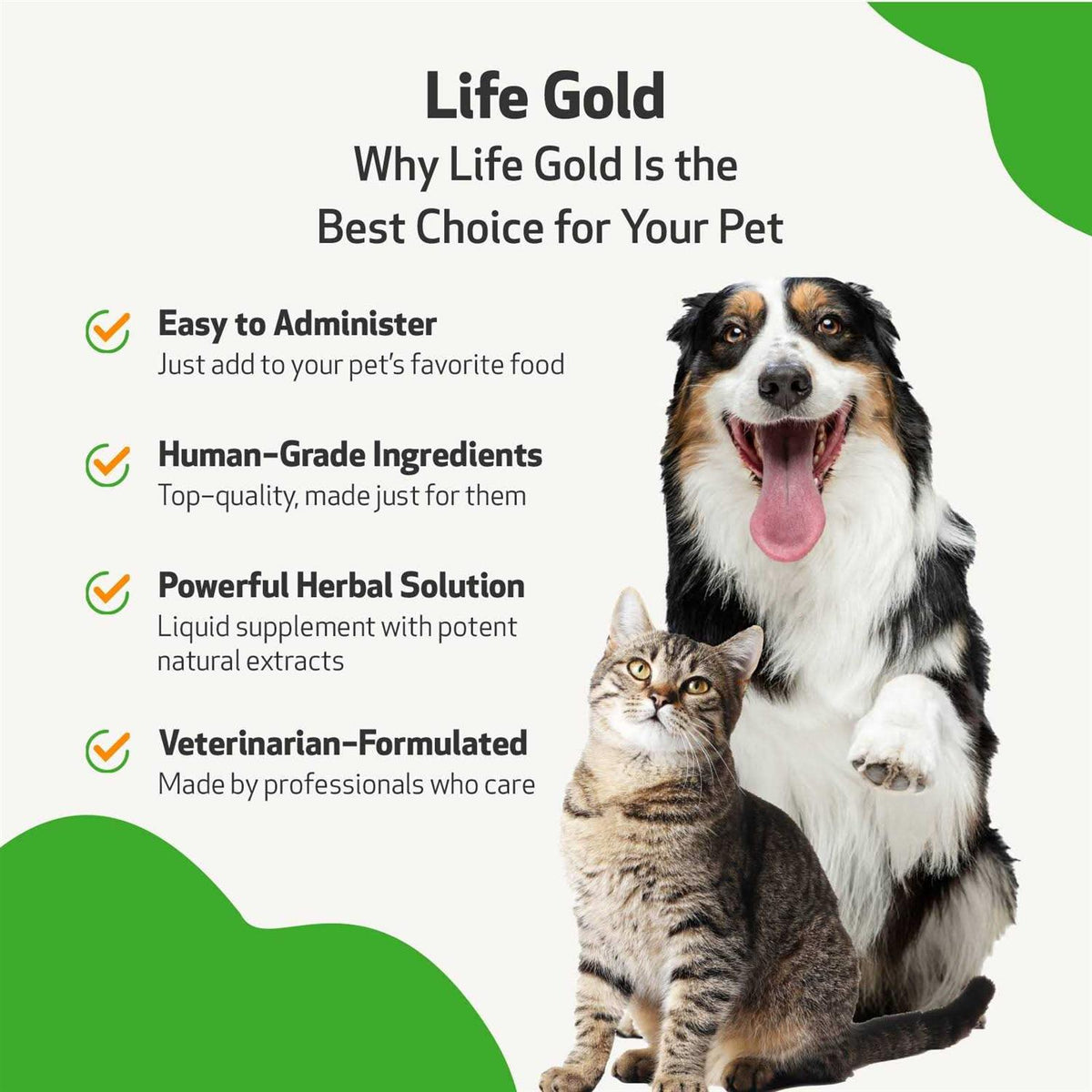 Life Gold for Dogs R4845
