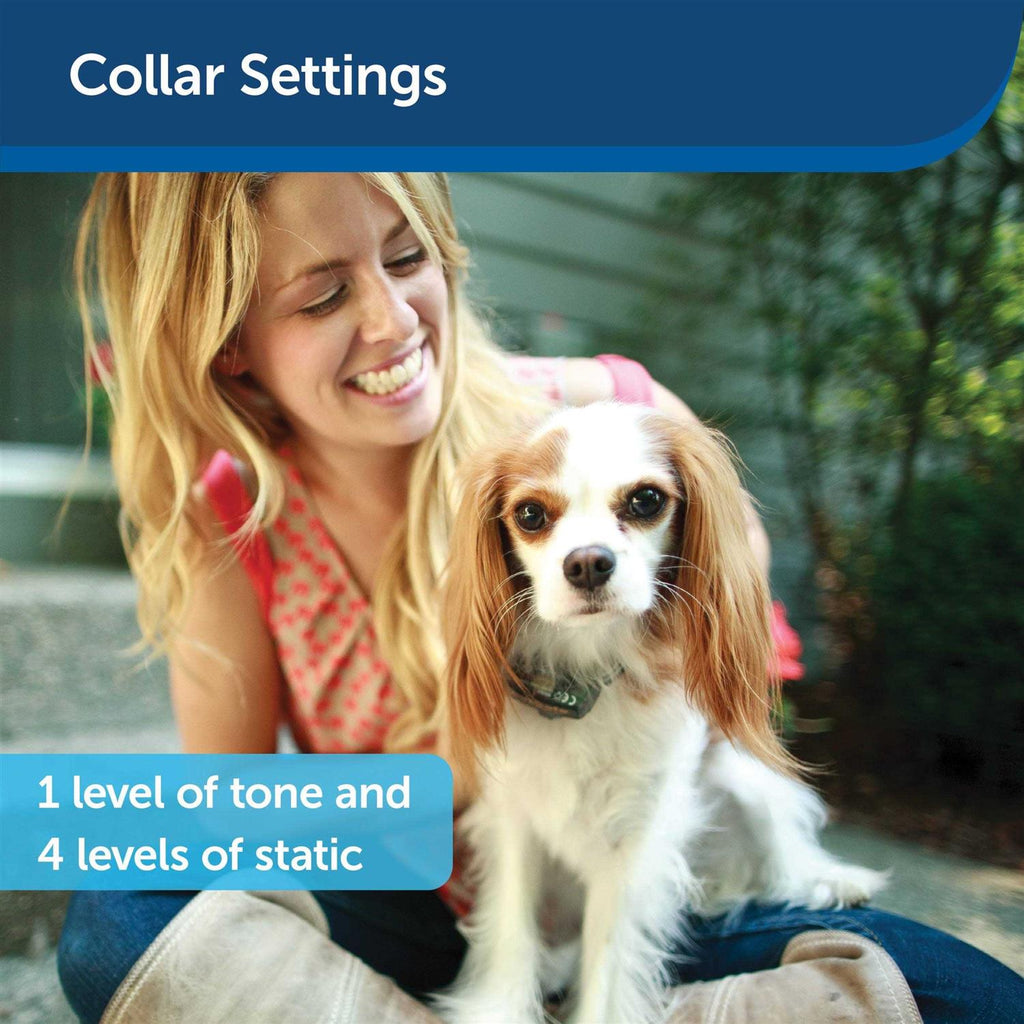 Dog Fence Collar Receiver Y91767