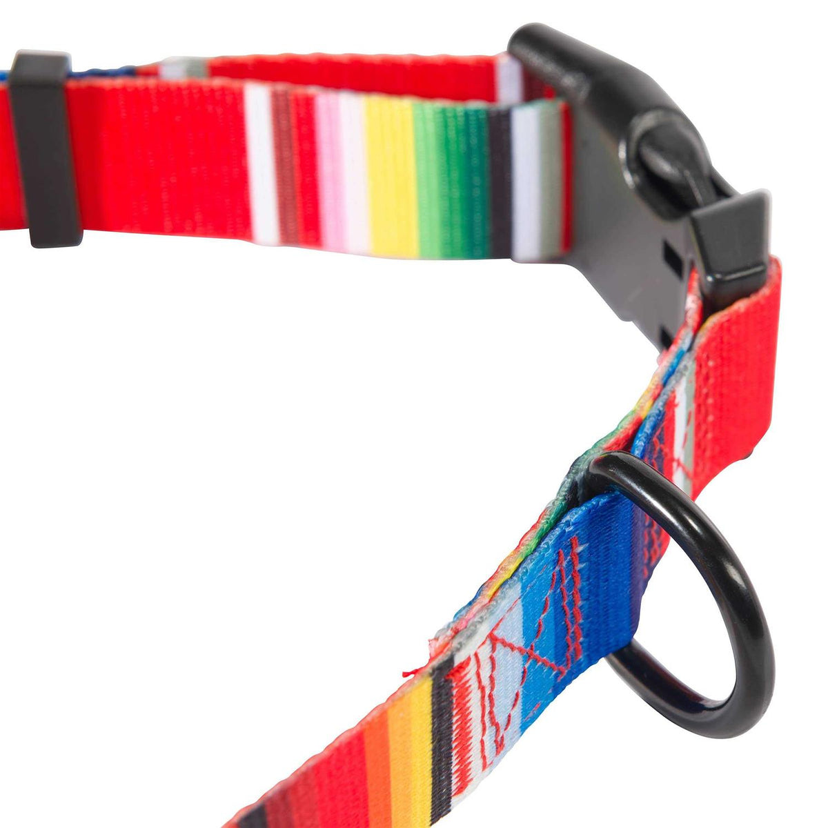 Dog Collar N8648