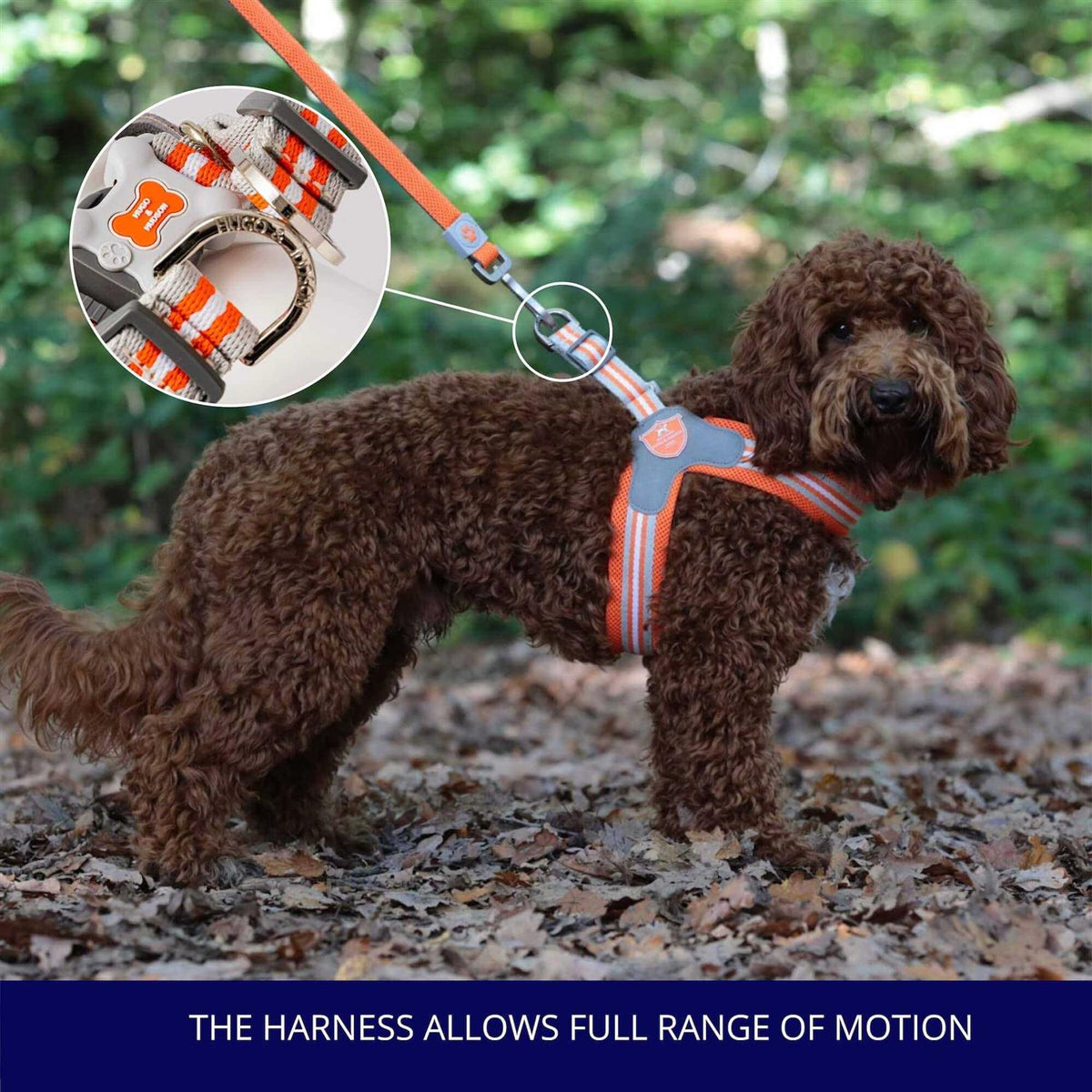 Dog Harness V338