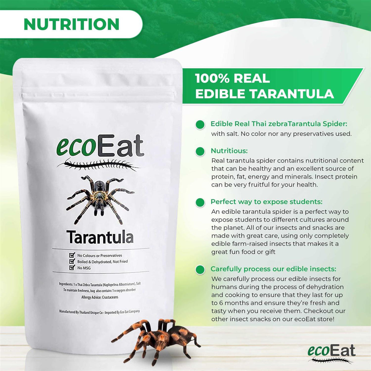 Edible Dehydrated Zebra Tarantula O6286
