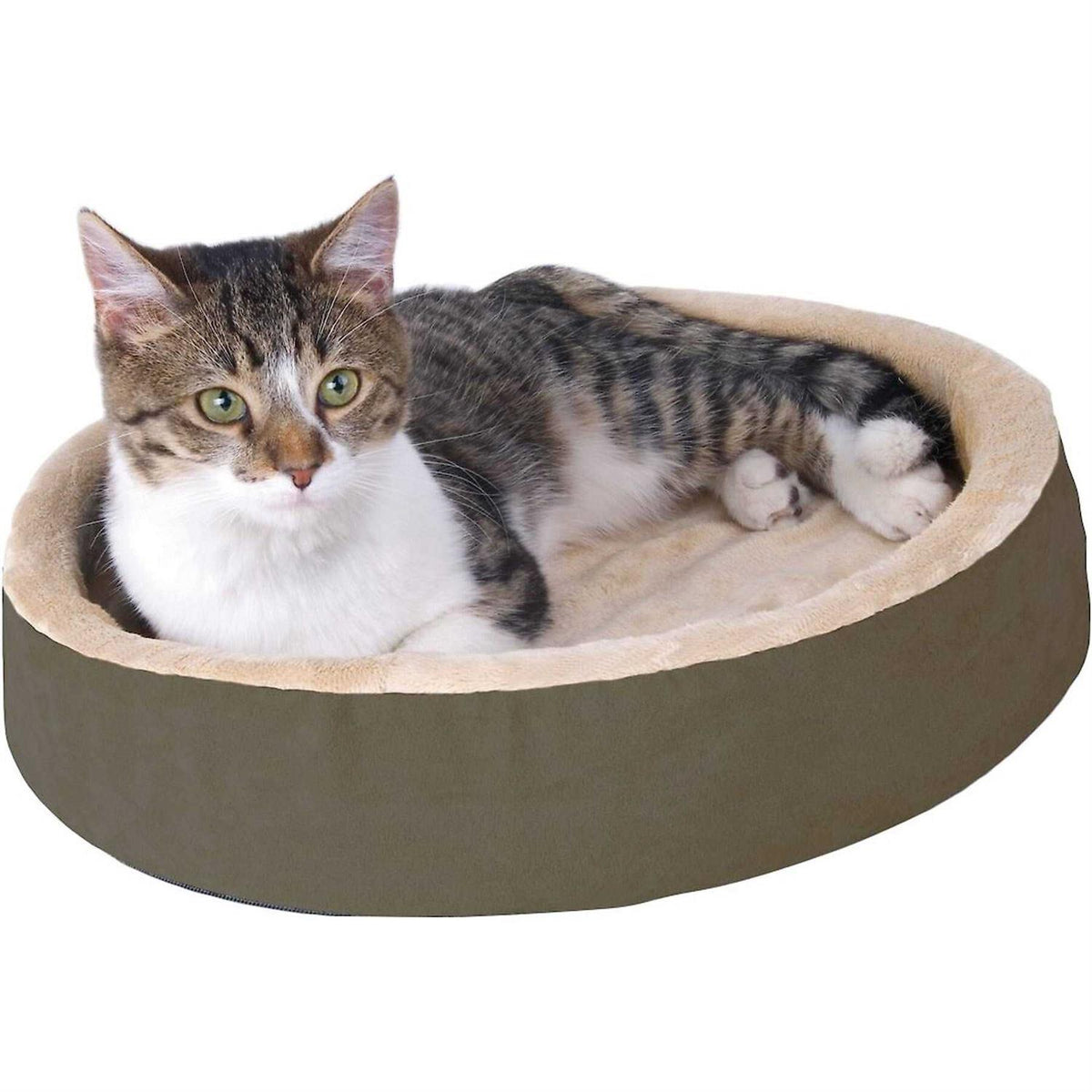 Cat Bed O251994