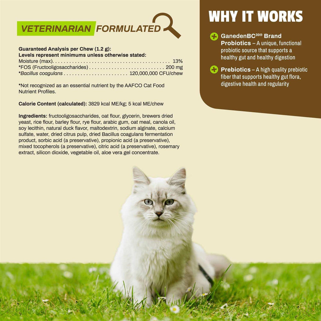 Daily Probiotic for Cats H91375
