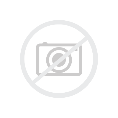 Vapor Canister Purge Solenoid P2738