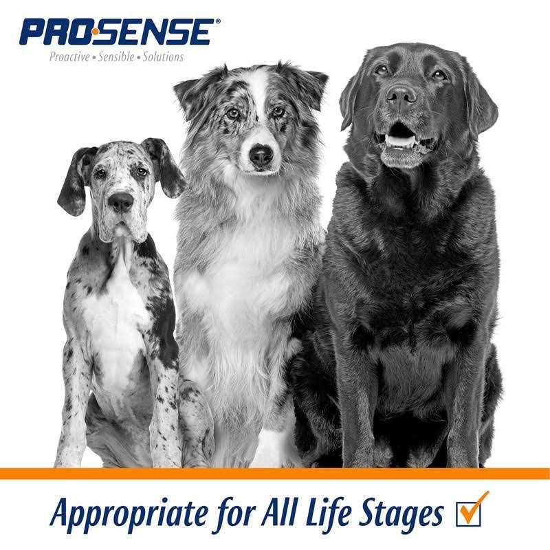 Chewable Vitamin Solutions F45861