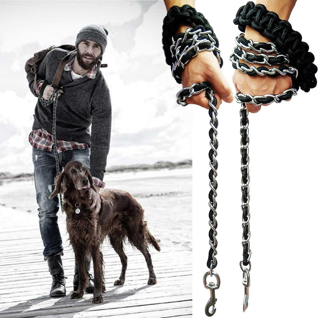 Metal Dog Leash with Collar M32319