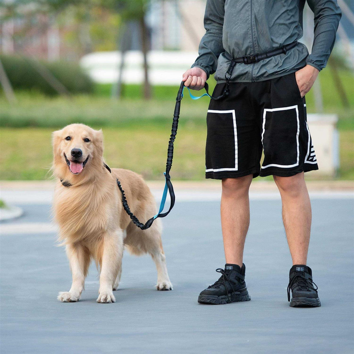 Hands Free Dog Leash with Zipper Pouch and Padded Handles E411