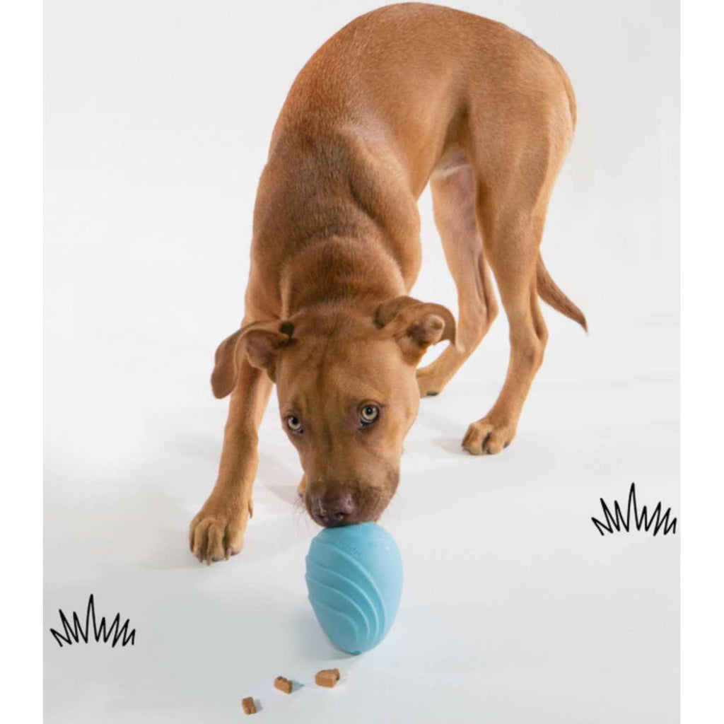 Dog Toy D8560