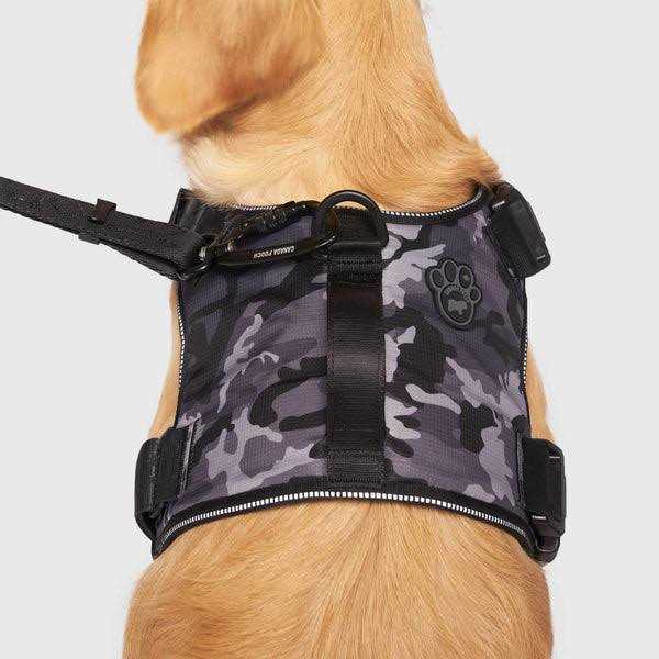Complete Control Dog Harness C980181
